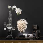 Gabriel JOANNAS - JOANNAS GABRIEL