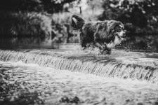 Laura RODRIGUES - OBJECTIF PHOTO