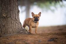 Laura RODRIGUES - OBJECTIF PHOTO