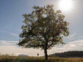 Pierre RICH - Rich Photographe