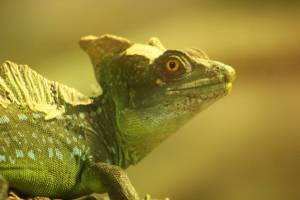 Marie-Emmanuelle DIOT LAPORTE - Memograph