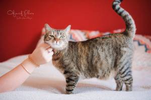 Laura RODRIGUES - OBJECTIF PHOTO